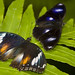 Anne Cairns Photo 35