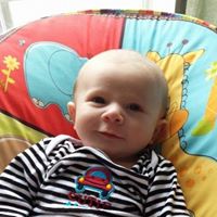 Michel Deschenes Photo 10