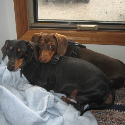 Debra Schrader Photo 19