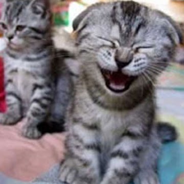 Megan Locke Photo 32