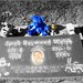Raymond Walsh Photo 21