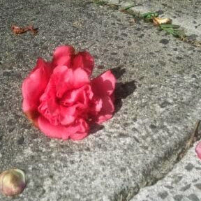 Terry Morris Photo 22