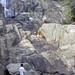Thi Cao Photo 6