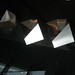 Daniel Royal Photo 9