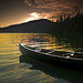 Andrew Sharp Photo 37