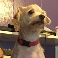 Deborah Mcginty Photo 2