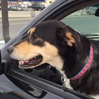 Erik Porter Photo 37