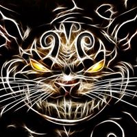 Chris Zimmer Photo 25