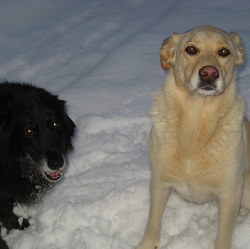 Michael Grubbs Photo 34