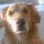 Robert Shedd Photo 8