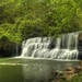 Lori Mills Photo 7