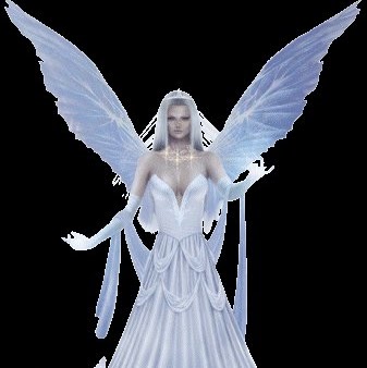 Tracey Grabowski Photo 12 Tracey Grabowski Photo 12