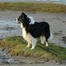 Susan Ridgway Photo 27