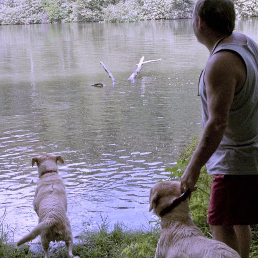 Tracy Rogers Photo 43 Tracy Rogers Photo 43