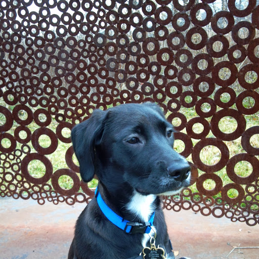Lisa Robeson Photo 2