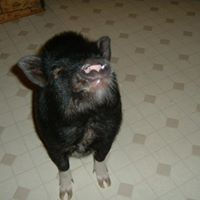 Ken Connolly Photo 13