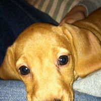 Kenneth Dale Photo 14