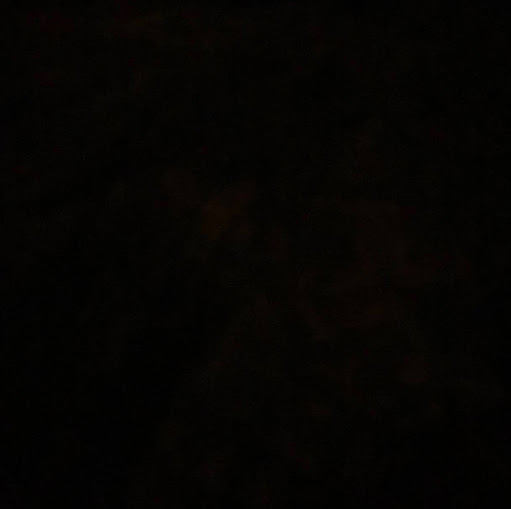 Joseph Lynch Photo 60