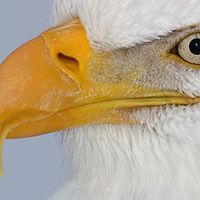 John Barth Photo 22 John Barth Photo 22