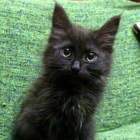 Michelle Martin Photo 13