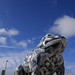 Jill Wilkinson Photo 17