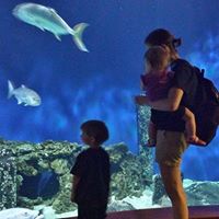 Kristin Mcrae Photo 6