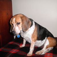Kathleen Wills Photo 35