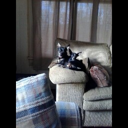 Donald Quinn Photo 20