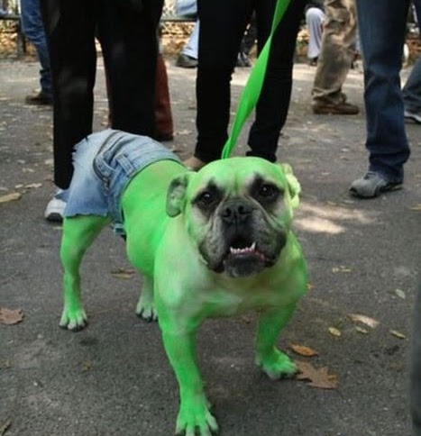 Luke Barnett Photo 19