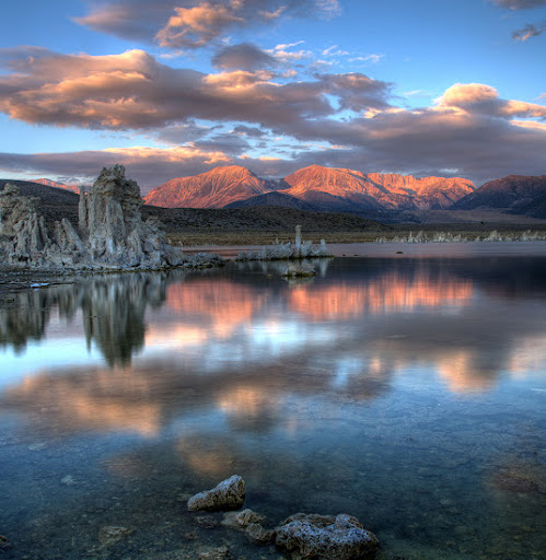 Edward Hill Photo 46 Edward Hill Photo 46