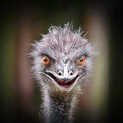 Stephanie Mazur Photo 2