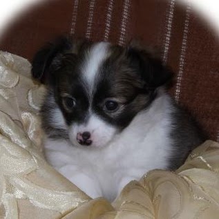 Catherine Paterson Photo 5