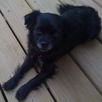 Leroy Moss Photo 8 Leroy Moss Photo 8