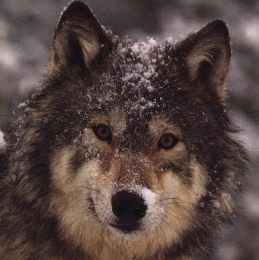 Kendra Erickson Photo 21