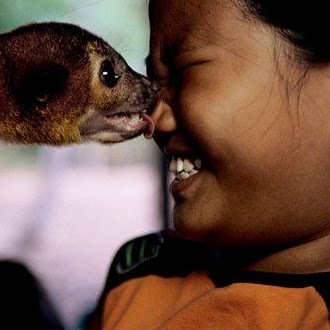Amy Moser Photo 19