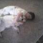 Daniel Dewey Photo 7