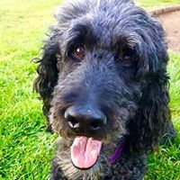 Julia Winfield Photo 18