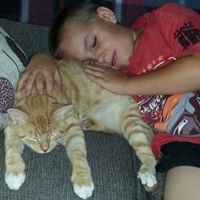 Jennifer Hoeft Photo 18