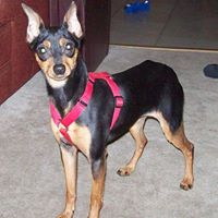 Douglas Morris Photo 30