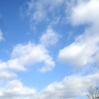 Marilyn Harper Photo 23