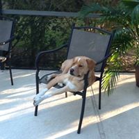 Heidi Burnett Photo 23