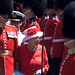 Elizabeth Day Photo 18