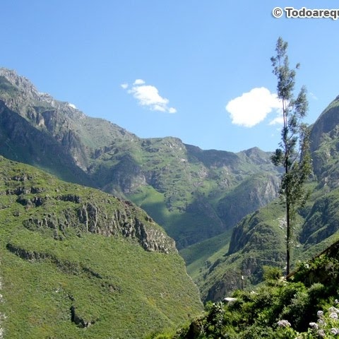 Adelina Ruiz Photo 7