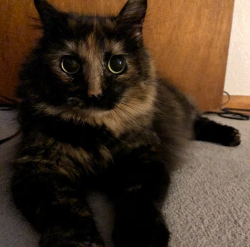 Kathryn Spencer Photo 26