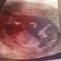 Victoria Canseco Photo 12