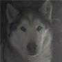 John Herman Photo 51