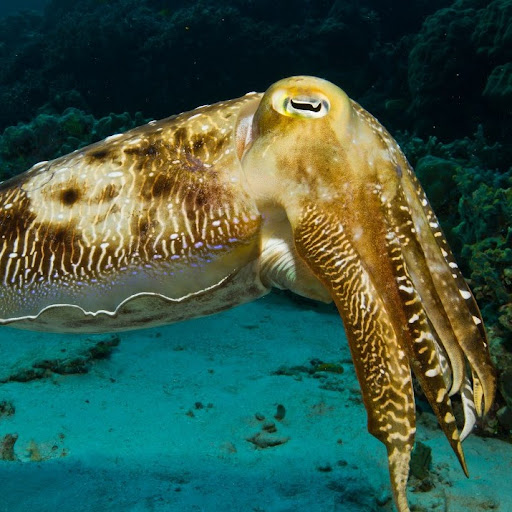 Garry Summers Photo 15