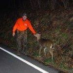 Bill Neff Photo 5