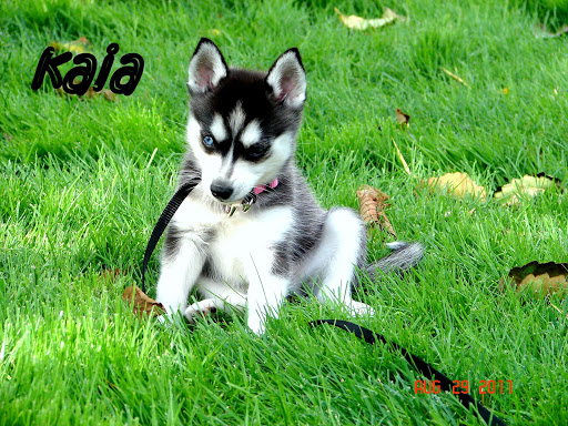 Terri Reynolds Photo 21