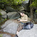 Mark Spellman Photo 13
